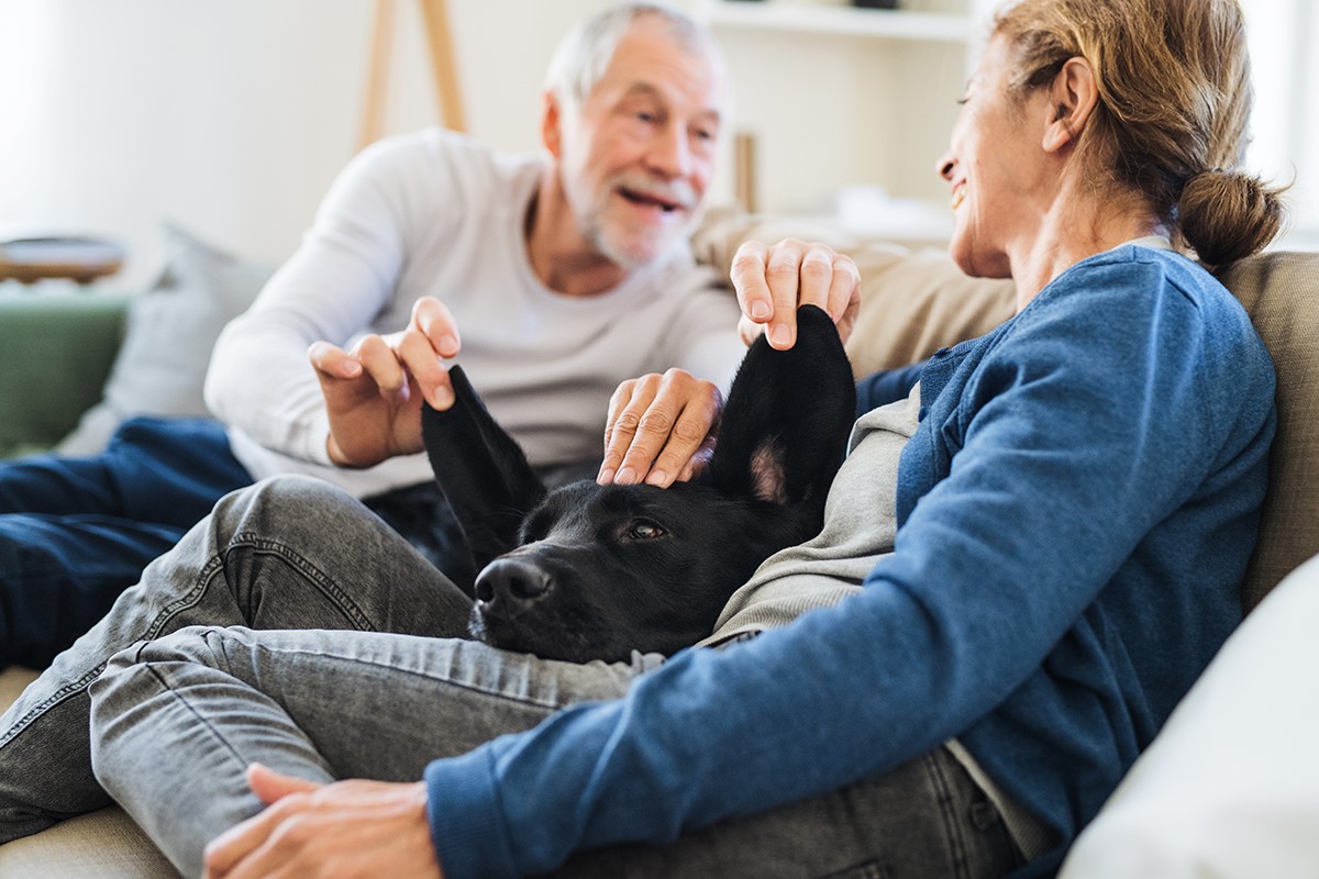 pet-therapy sober living